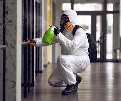 Mold Odor Removal Services in Baytown, TX